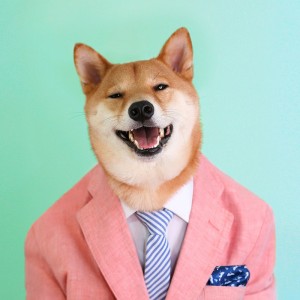 menswear-dog-11